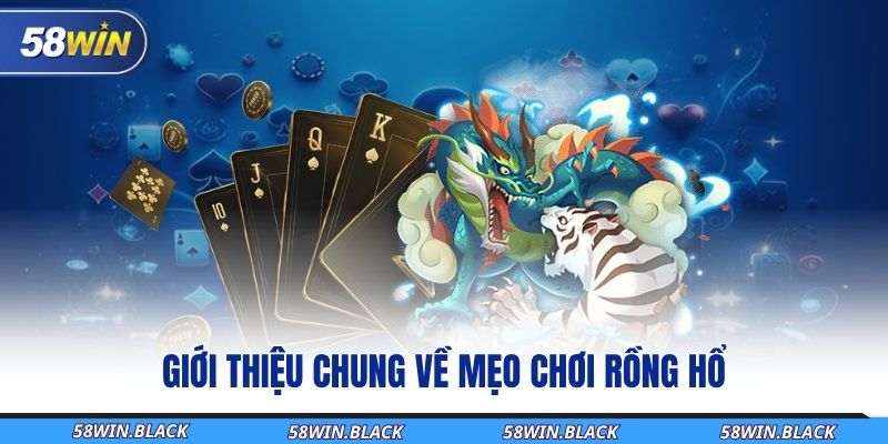 gioi-thieu-chung-ve-meo-choi-rong-ho