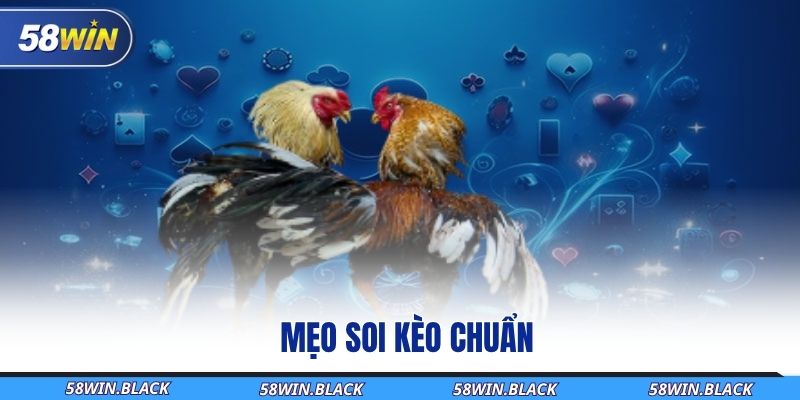 meo-soi-keo-chuan