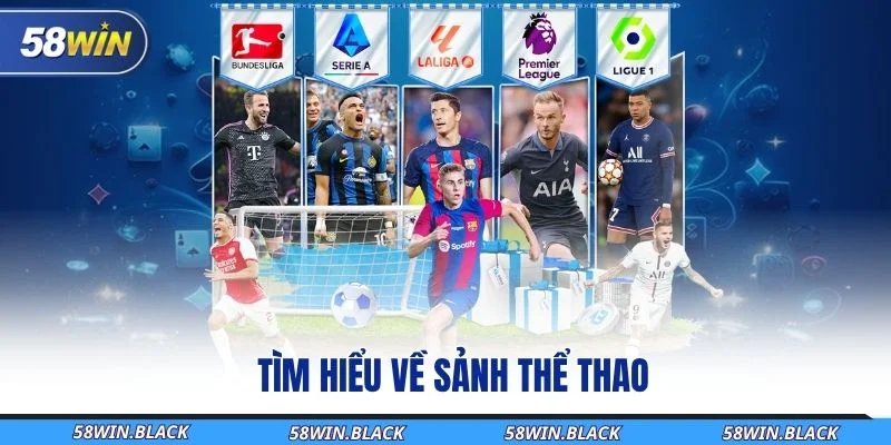 tim-hieu-ve-sanh-the-thao